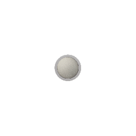 puck_22_pg.png