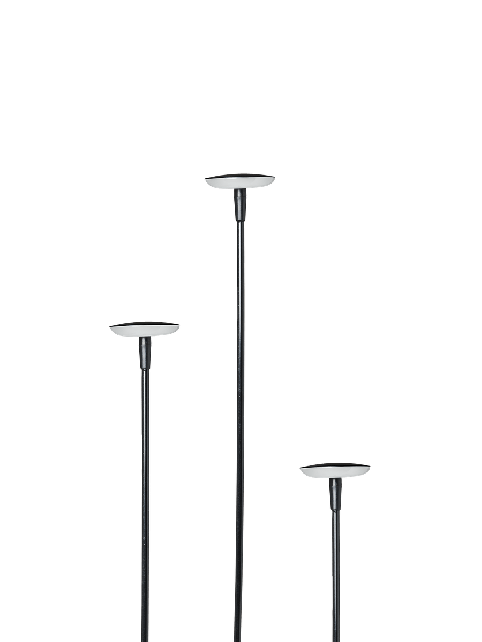 10202400_sway_black_hoofdfoto.png