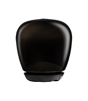 10202705_big-voque.png