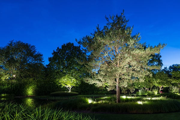 &Eacute;clairage d&rsquo;arbre de in-lite