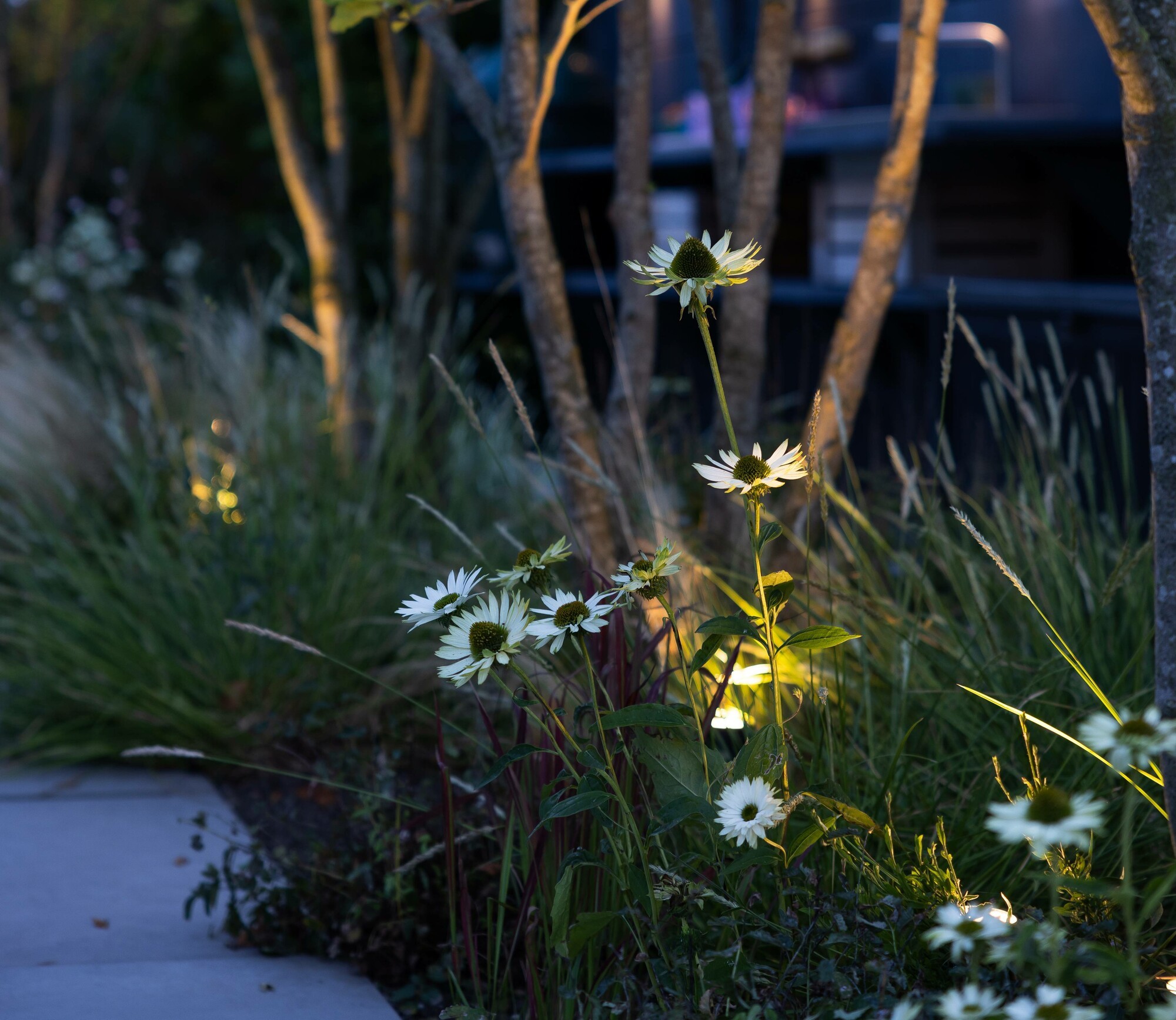 Outdoor spotlights - Outdoor lighting - in-lite