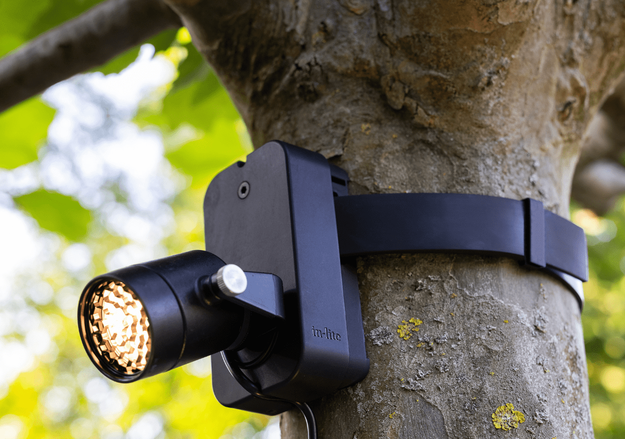 NERO - Tree lighting - Recessed lights - Garden lighting - in-lite