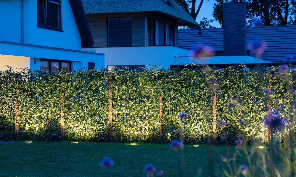 Eine stimmungsvolle Heckenbeleuchtung mit mehreren, gleichm&auml;&szlig;ig platzierten Spots erhellt einen Garten in der Abendd&auml;mmerung. Im Hintergrund sind mehrere Wohnh&auml;user zu sehen.
